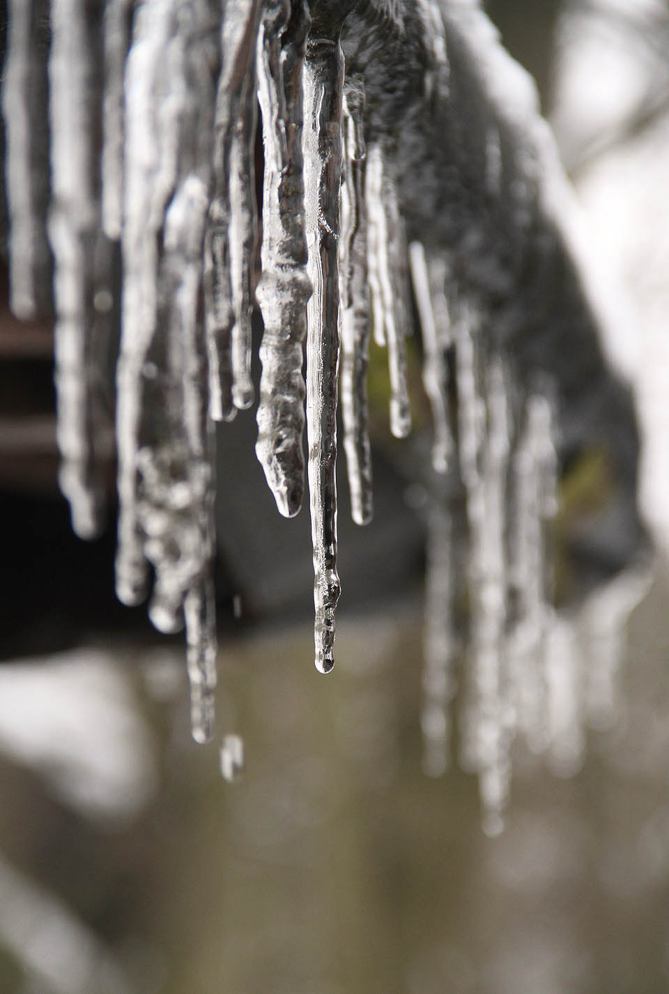 Na začátku února byla zima v plném proudu. Srub obalily ledové rampouchy, které po zatopení v kamnech začaly nesměle tát.