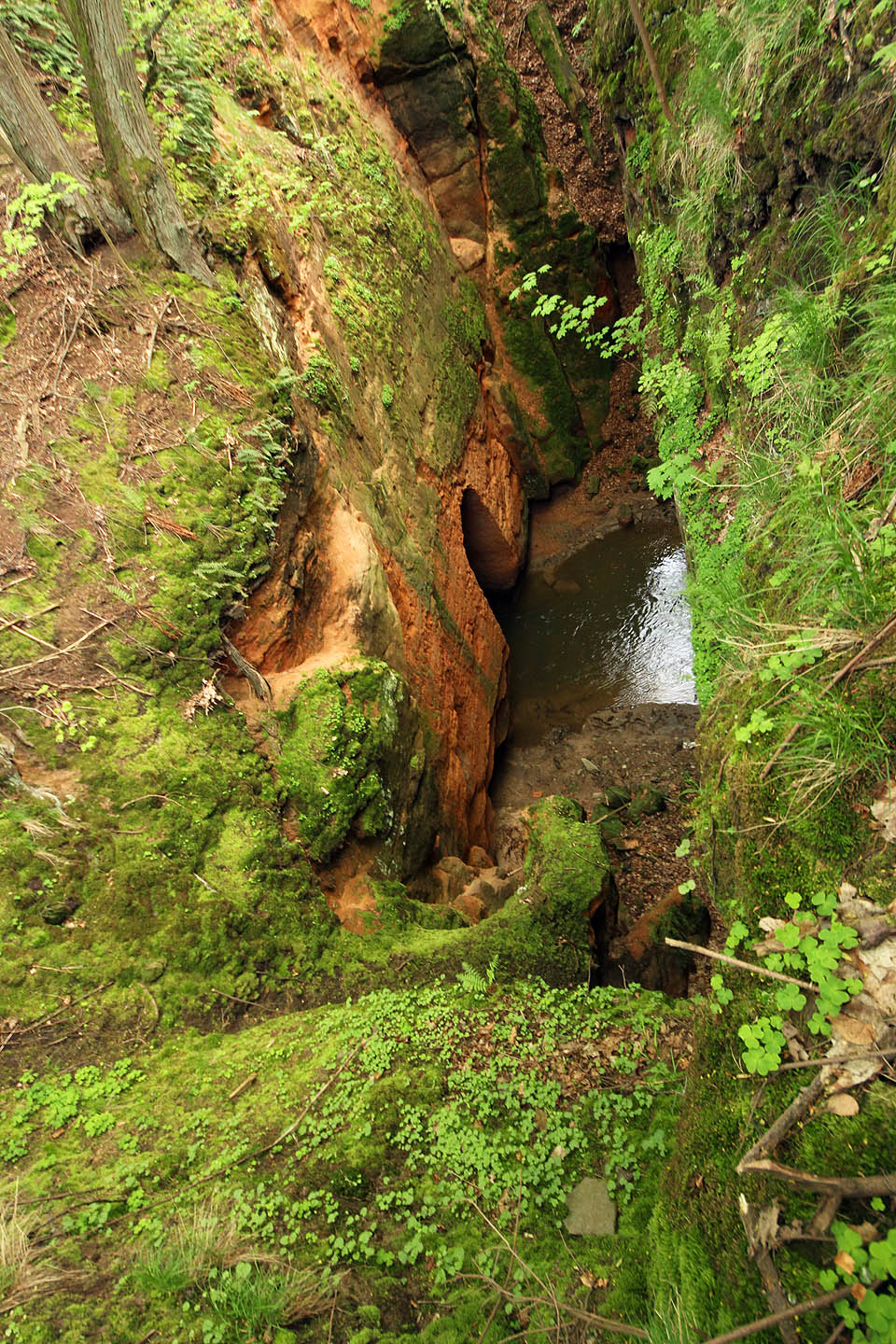 Obec <a href="/Tema/Noviny pod Ralskem">Noviny pod Ralskem</a> je prodchnutá zajímavostmi. Mimo strašidelných zařízení na dekontaminaci půdy po těžbě uranu jde třeba také o průrvu Ploučnice - několik umělých tunelů v pískovcové skále, kterými se hrne řeka, jež tu kdysi poháněla mlýn. Obec <a href="/Tema/Noviny pod Ralskem">Noviny pod Ralskem</a> je prodchnutá zajímavostmi. Mimo strašidelných zařízení na dekontaminaci půdy po těžbě uranu jde třeba také o průrvu Ploučnice - několik umělých tunelů v pískovcové skále, kterými se hrne řeka, jež tu kdysi poháněla mlýn.