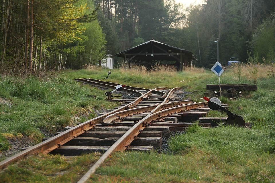 U rašeliniště v rezervaci Soos a na úzkokolejce zvané Kateřina jsme byli těsně po východu slunce. Doslova jsme nohama stírali rosu na kolejích. U rašeliniště v rezervaci Soos a na úzkokolejce zvané Kateřina jsme byli těsně po východu slunce. Doslova jsme nohama stírali rosu na kolejích.