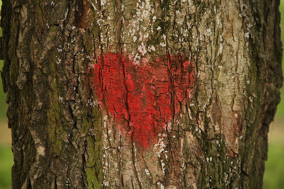 Vojta byl takové naše srdíčko po celou dobu cesty. Vojta byl takové naše srdíčko po celou dobu cesty.