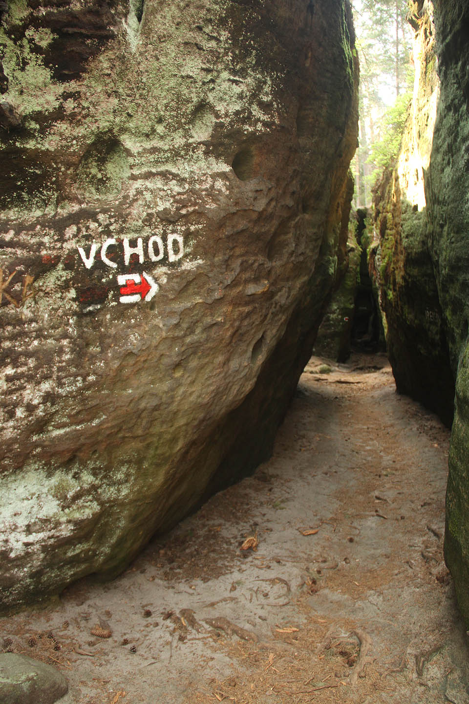 Maštale byly v devět ráno docela prázdné, tak jak jsem je ještě neviděl. Klid probouzejícího se lesa rušil jen zpěv ptáků. Nalákal jsem spolucestovatele do Dudychovy jeskyně, pamatuje si, že tudy šlo prolézt kdysi nahoru. Jenže to mě bylo o 15 let méně a tentokrát se nám to nějak nepodařilo. Maštale byly v devět ráno docela prázdné, tak jak jsem je ještě neviděl. Klid probouzejícího se lesa rušil jen zpěv ptáků. Nalákal jsem spolucestovatele do Dudychovy jeskyně, pamatuje si, že tudy šlo prolézt kdysi nahoru. Jenže to mě bylo o 15 let méně a tentokrát se nám to nějak nepodařilo.