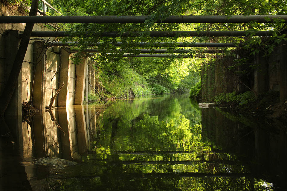 V šest hodin jsme opustili areál škrobáren zapaženým korytem náhonu a vpluli jsme do opravdové džungle.