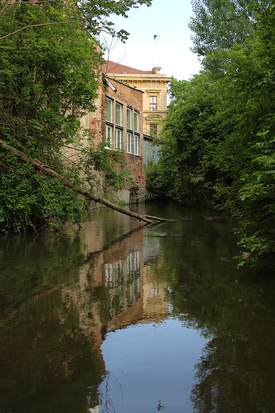 Tento dům vyrůstající z vody, jeden z posledních zbytků brněnských Benátek, fotím už nejméně pět let. Nevím proč, ale drolící se cihlová zeď a její odraz ve zvlněné hladině mě neskutečně přitahují.