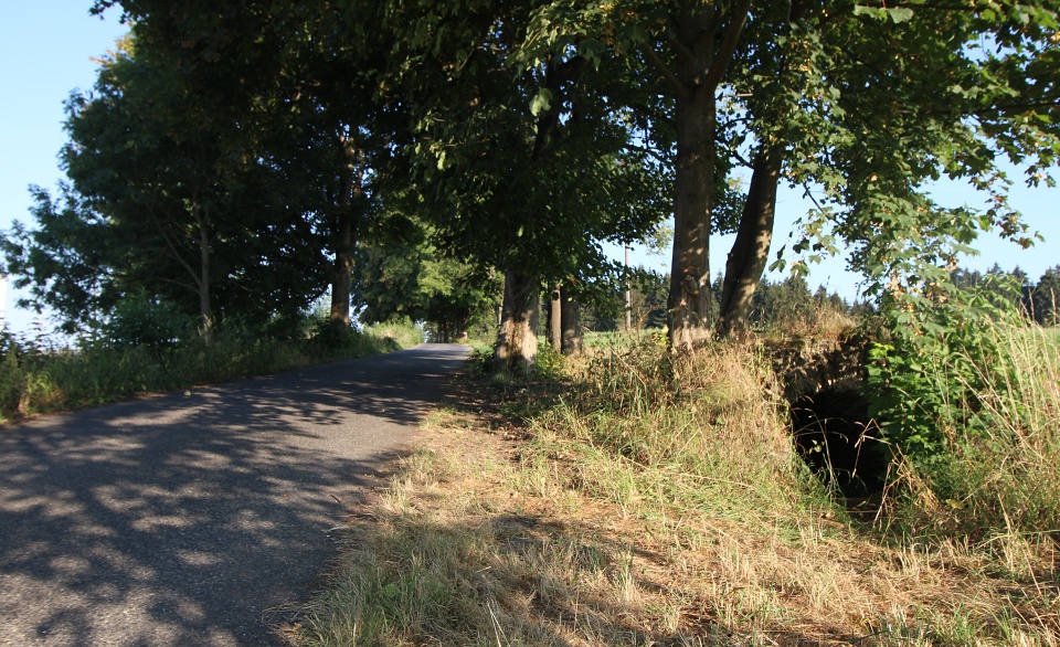 Cestou k hraničnímu patníku jsme objevili také vstup do záhadného podzemí, ze kterého se vyklubal dvouposchoďový sklep na víno vykutaný v pískovci.