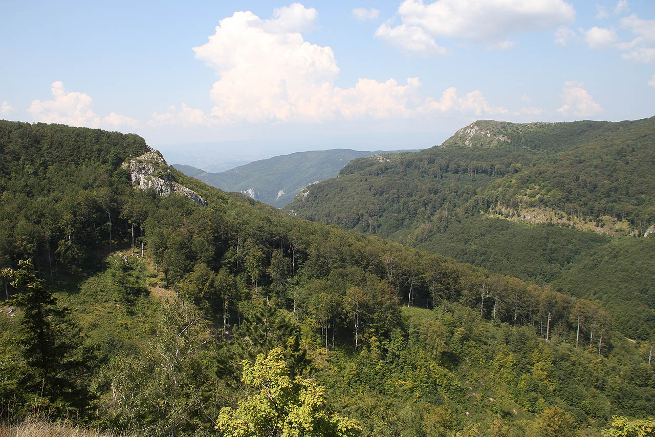 Půlstoleté výročí tragické události jsme rádi strávili v Rumunsku, ve státě, který se jako jediný z členů vojenského uskupení, odmítl okupace Československa účastnit. Rumuni si tím málem vysloužili od Svoětského svazu podobný zákrok.