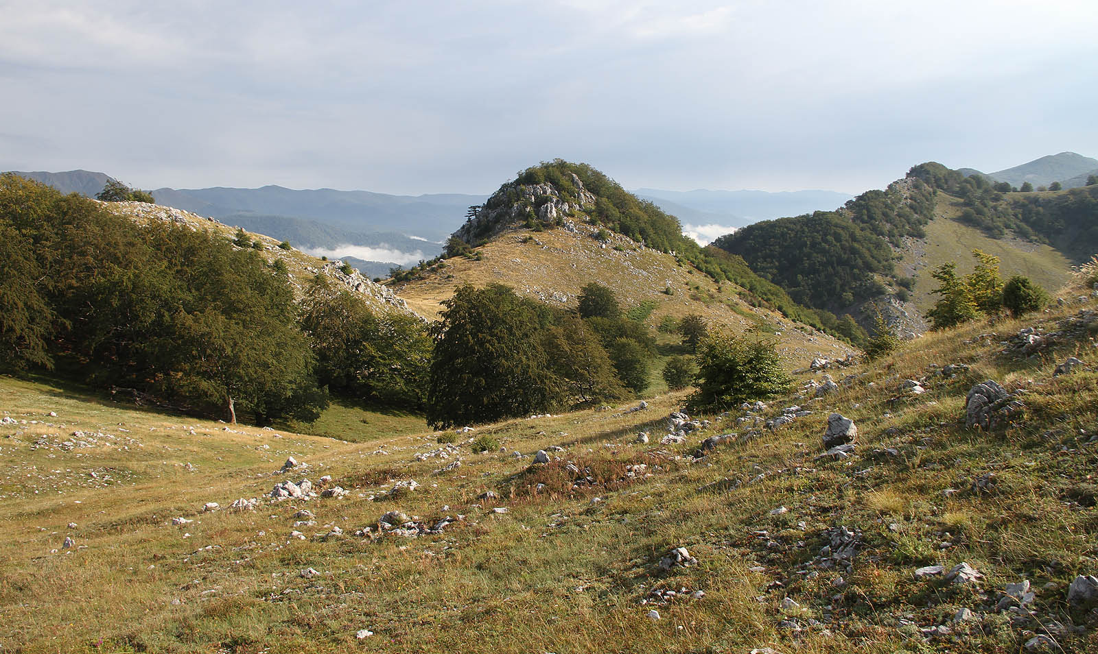 Malebné ráno na Poianě Ploştině. Po noční bouřce se dole v údolí Cerné válí mlhy, na hřebeni však už trávu vysouší intenzivní sluneční svit.