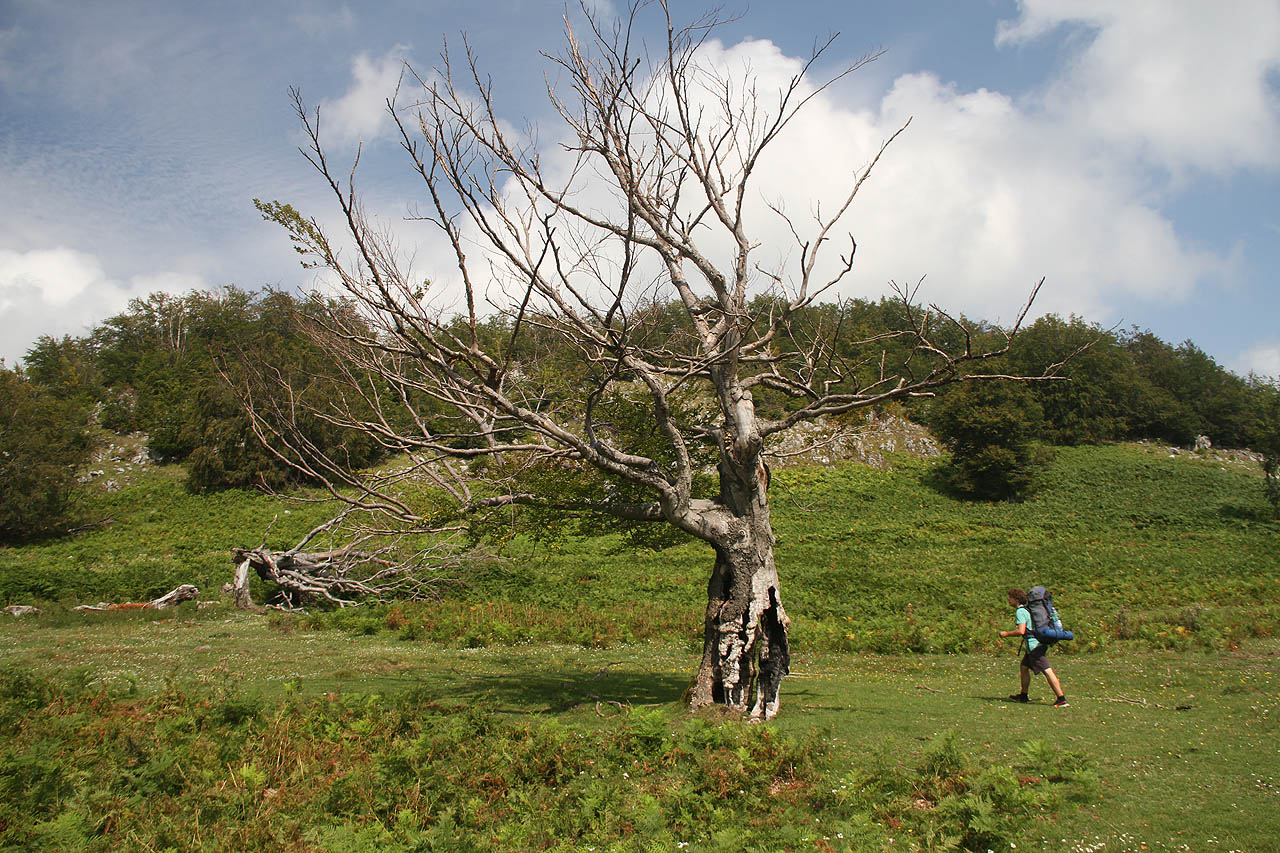Mehedinți jsou jedny z nejsušších rumunských hor. V celém pohoří je jediná studna, ke které chodí páít stáda i bačové z širokého okolí.