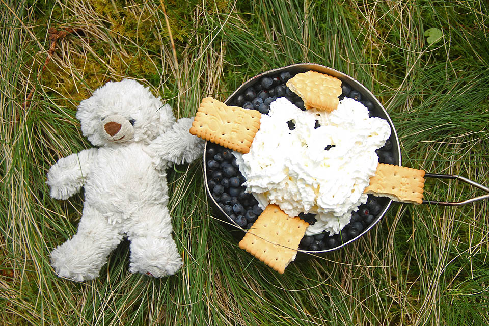 Za svůj celý život jsem nezažil tak velkou úrodu tak velkých borůvek, na jeké jsme narazili na maramurešských hřebenech. Za půl hodiny jsme naplnili ešus, což si vyžádalo dokonce načnutí šlehačky, kterou jsem původně schovával na slavnostní setkání s úzkokolejkou v údolí Vaseru.
