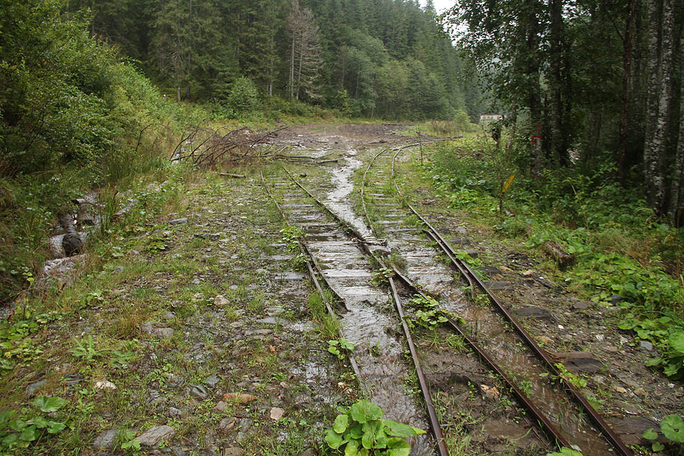 Nakonec jsme museli jít několik kilometrů korytem potoka, než jsme dorazili k první opuštěné větvi úzkokolejky nad stanici Izvorul Bouloi.