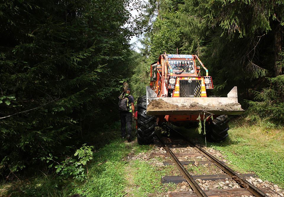 Úzkokolejné vláčky tu žijí ve zvláštní symbióze s těžkými kolovými traktory, které dodávají k dráze dřevo.