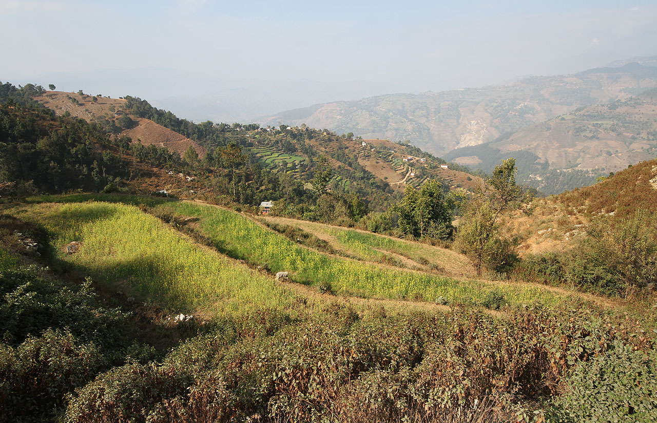 Místo velehor jsme v Nepálu netradičně zamířili do podhůří. Ve výšce srovnatelné s vrcholem Sněžky tady na začátku prosince skončila sklizeň a začala setba. Ve vesničkách v okolí Dailekhu, přístupných pouze po pěšinkách lesem, možná ještě nikdy nebyli Evropané. Působili jsme tu proto poněkud exoticky.