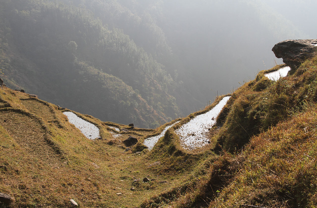 Z některých políček (pěstuje se tu ječmen, brambory, ale taky kukuřice, zelenina nebo rýže) by se člověku mohla i zatočit hlava. Nepálci se po staletí dokáží uživit na svazích tak strmých, že Evropané by se na ně báli jenom vkročit.