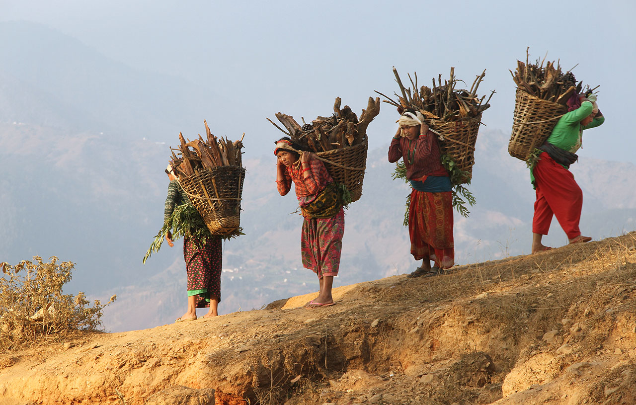Typická ženská práce v Nepálu je sběr dřeva na vaření v domácích píckách. S nůšemi zavěšenými pásem přes čelo chodí Nepálky celé dny po okolí vesnic a sbírají suché větve a klest. Stromy se kácí málo a převážně pro stavební účely. V teplém a vlhkém podnebí Nepálu nicméně vše roste rychleji než v Evropě.