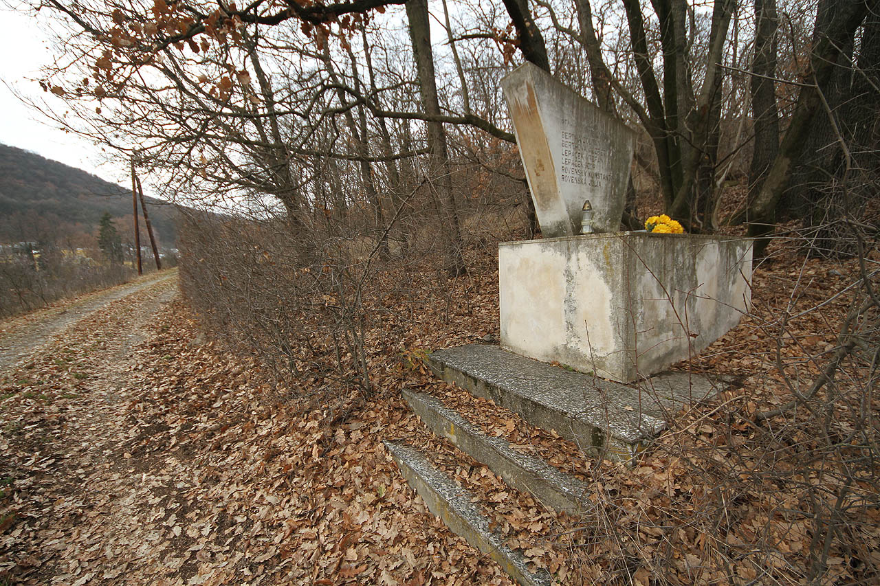 Málokdo zná okolnosti dávno tragédie, kdy šestice mladých vodáků zahynula při splouvání Dunaje. Pomník stojí daleko od řeky, zapomenutý na okraji lesa.