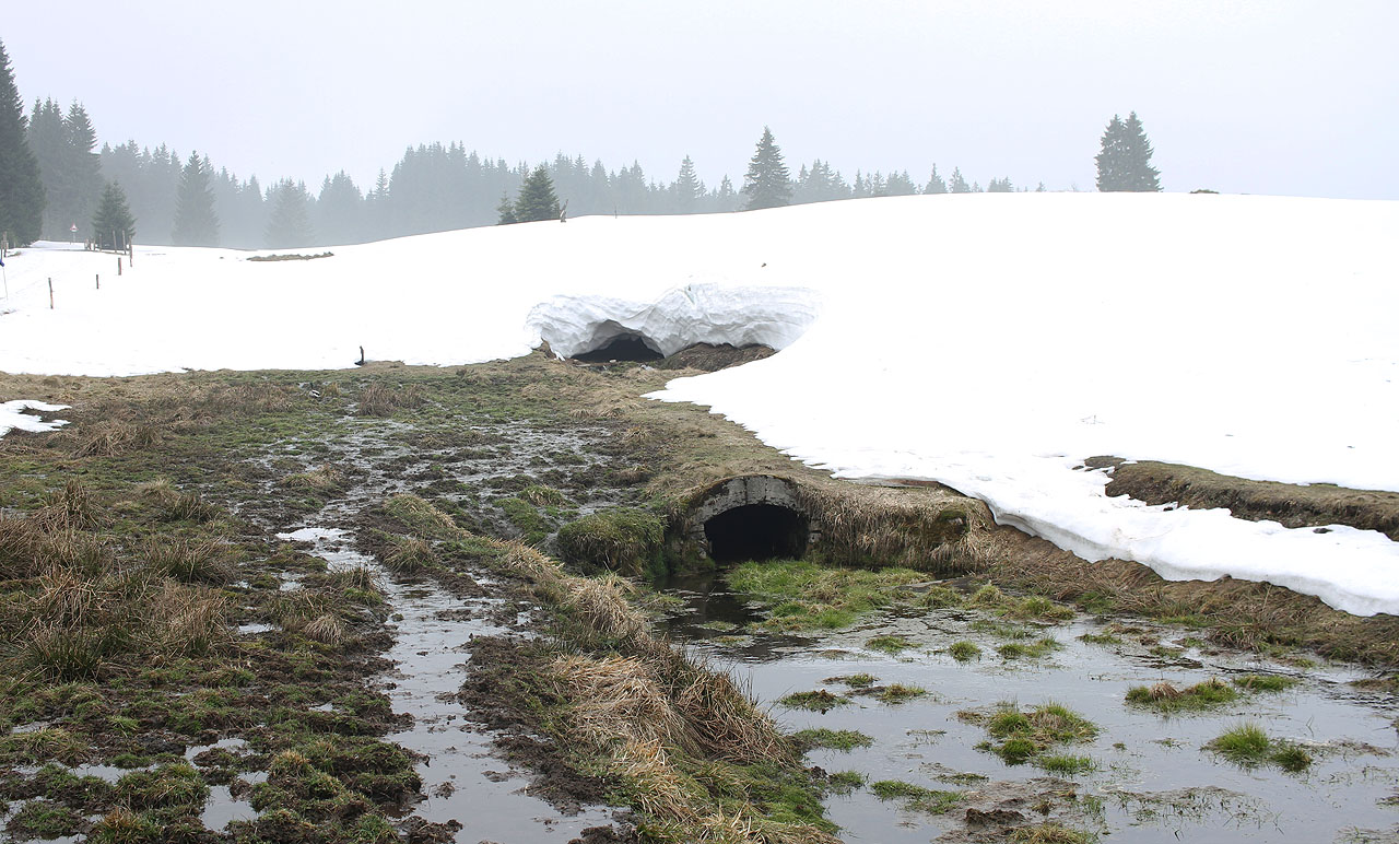 Nedaleko odtud vyvěrá propadlá dědičná štola sv. Jiří. Krušné hory jsou prostě krušné. Touto štolou je dodnes odvodňován i labyrint mnoha kilometrů chodeb pod dolem Rolava (Sauersack), kam právě míříme (pod silnicí vlevo).