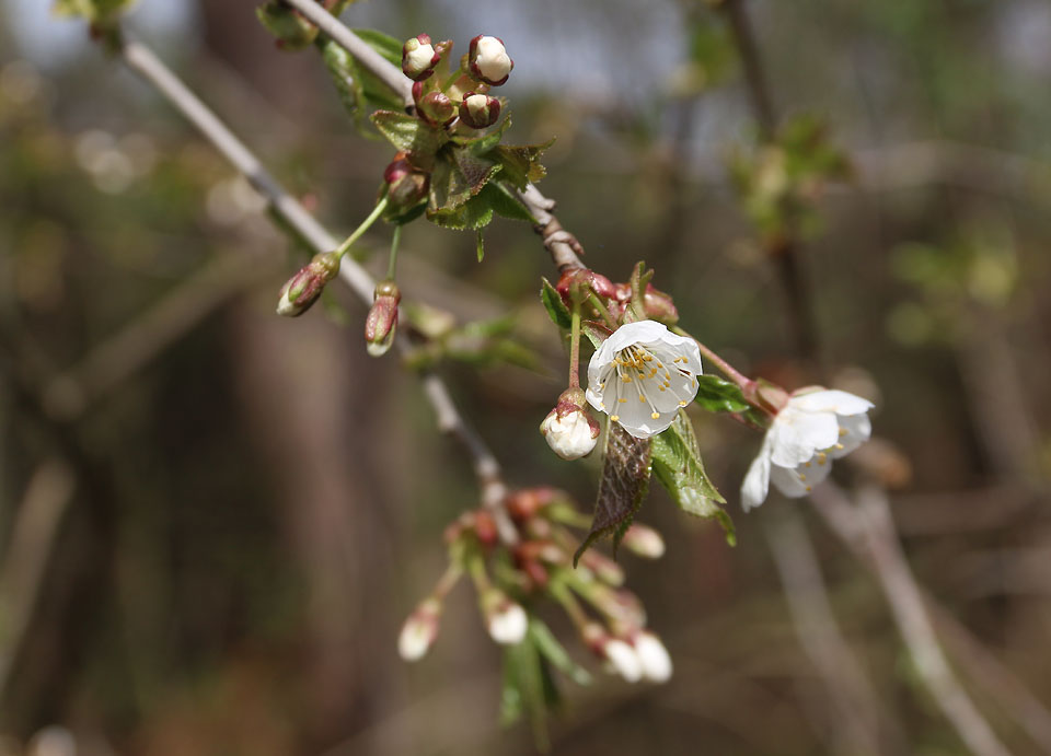 Odpoledne se konečně začalo dělat jasněji a krajina kolem nás nám připomněla, že už je tu jaro!