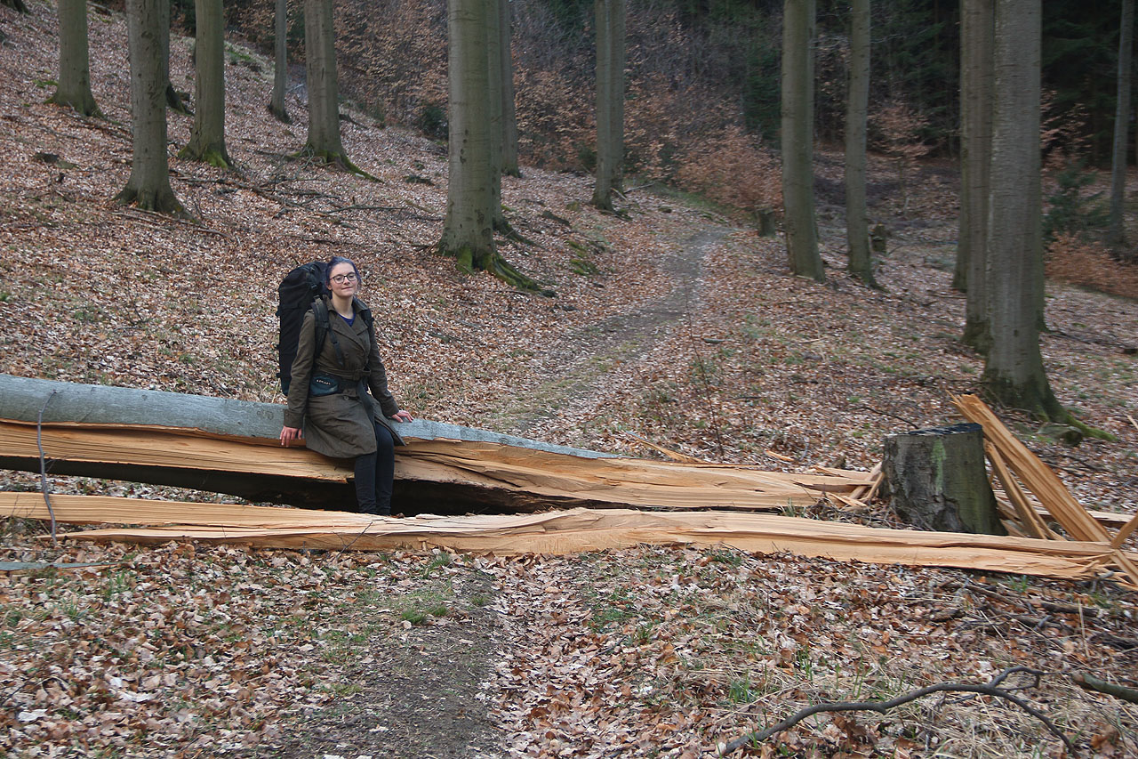 Nancy váží s batohem tolik, že když si sedne na vyvrácený buk, strom po délce pukne.