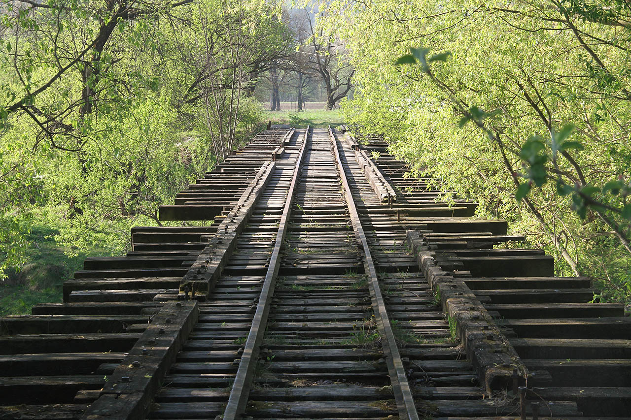 Vlečkový most byl jedním z pouhých tří mostů, po kterých úzkokolejka překračovala říčku Boržavu.