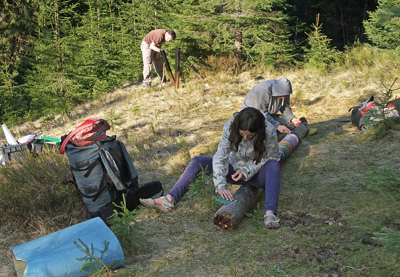 Doubravka se Sojkou brousí peň totemu, zatímco Vašek natírá ocelové traverzy, které budou tvořit nosnou konstrukci místo uhnilé části pomníku.