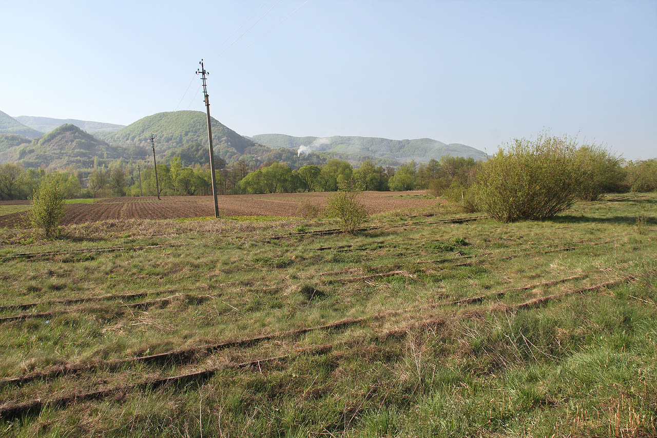 Železniční stanice Приборжавське patřila k největším na <a href="/Tema/Boržavská úzkokolejka">Boržavské dráze</a>. Odbočovala odsud dokonce úzkokolejná vlečka do vápenky pod kopcem nad obzoru, ze které se valí kouř.