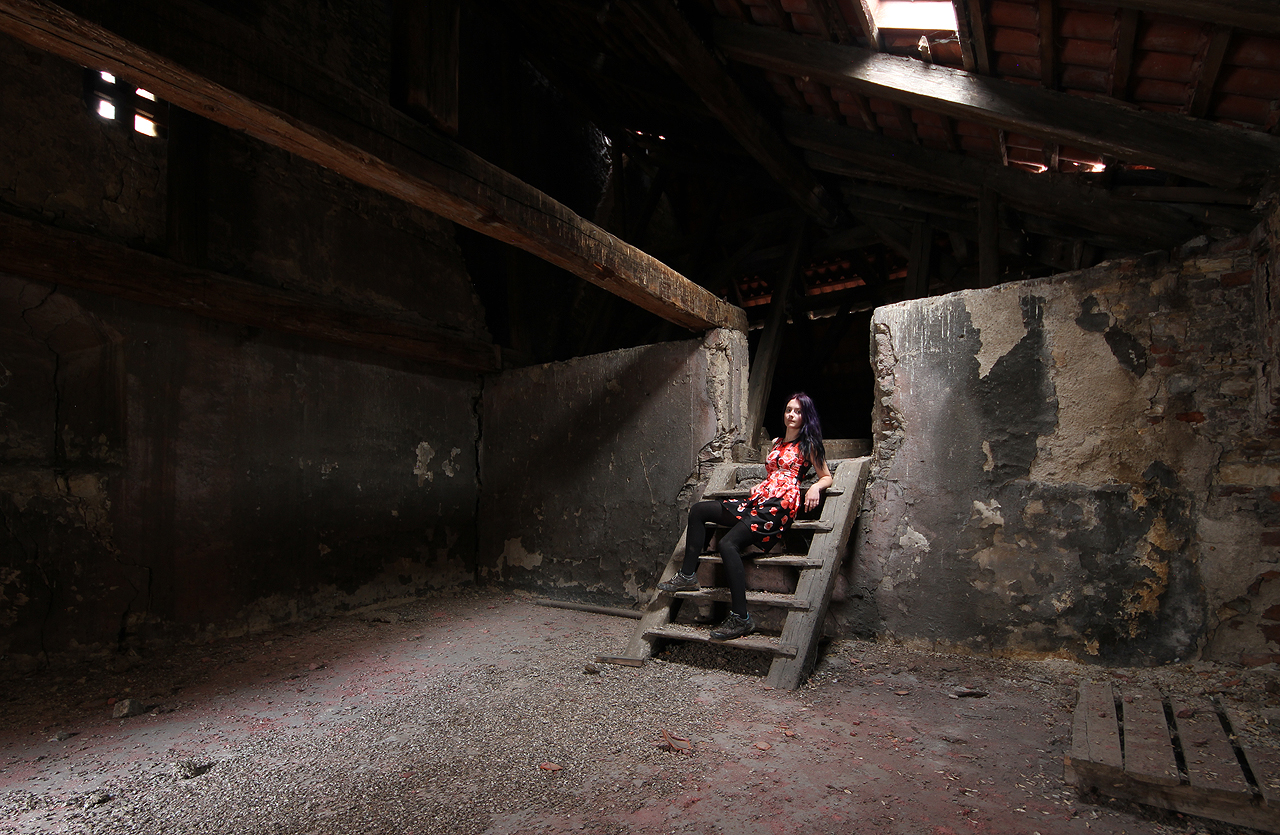 Na zpáteční cestě jsme ještě prozkoumali jeden z nejúžasnějších domů v pražských uličkách. Nikdy bych neřekl, kolik budov v centru Prahy je úplně prázdných.