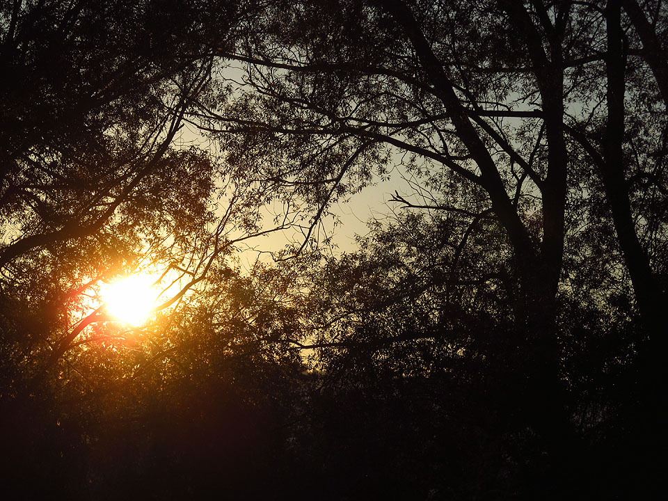 Kupodivu se noc u vody obešla bez útoků mračen komárů a do snů nám jen jemně šuměla řeka. Spali jsme 4 hodiny, zbytek stihneme ve vlaku.