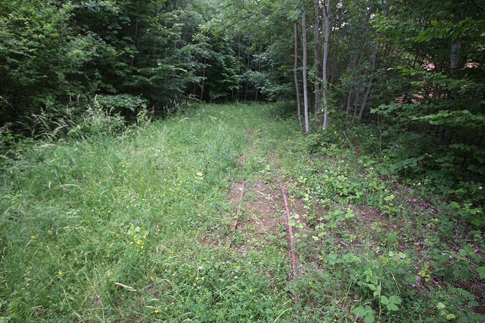 Druhá úzkokolejka pomalu zarůstá v areálu zaniklé cihelny v Bořínově.