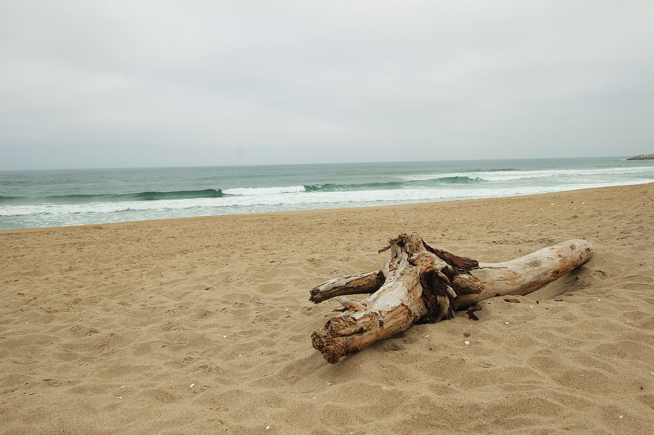 Poprvé hledím přímo do vln Atlantiku. Třeba ten kus dřeva připlul z Ameriky hnán Golfským proudem.