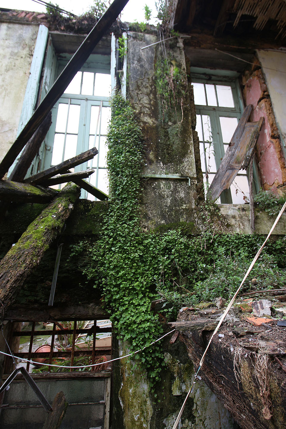 Krása rozkladu je v Portugalsku o něco intenzivnější než jinde. Kamenné domy a bujná zeleň dodávají zmaru barvitější podobu.