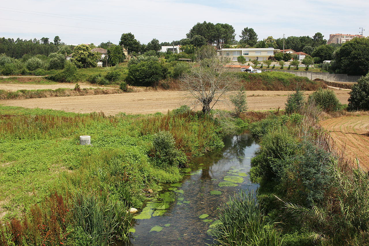 Koupel v průzračné říčce Rio Antuã potěšila úplně všechny členy výpravy.