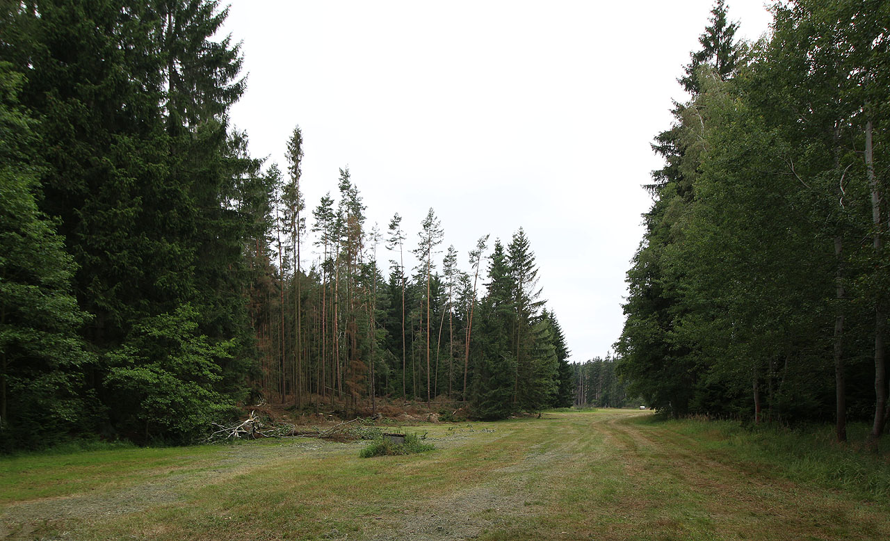 Nradi opouštíme místo, kde jsme toho tolik zažili. Okolní lesy se ale mění pod pilami dřevorubců v pusté paseky, které pořádání dalších táborů neumožní. Vyprahlá krajina pak bude ještě víc tíhnout k dalším škodám na lesních porostech.