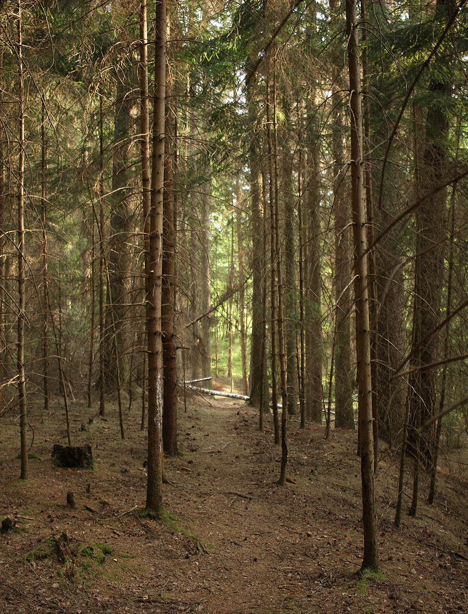 Chladné sobotní ráno znamenalo předposlední den tábora.

