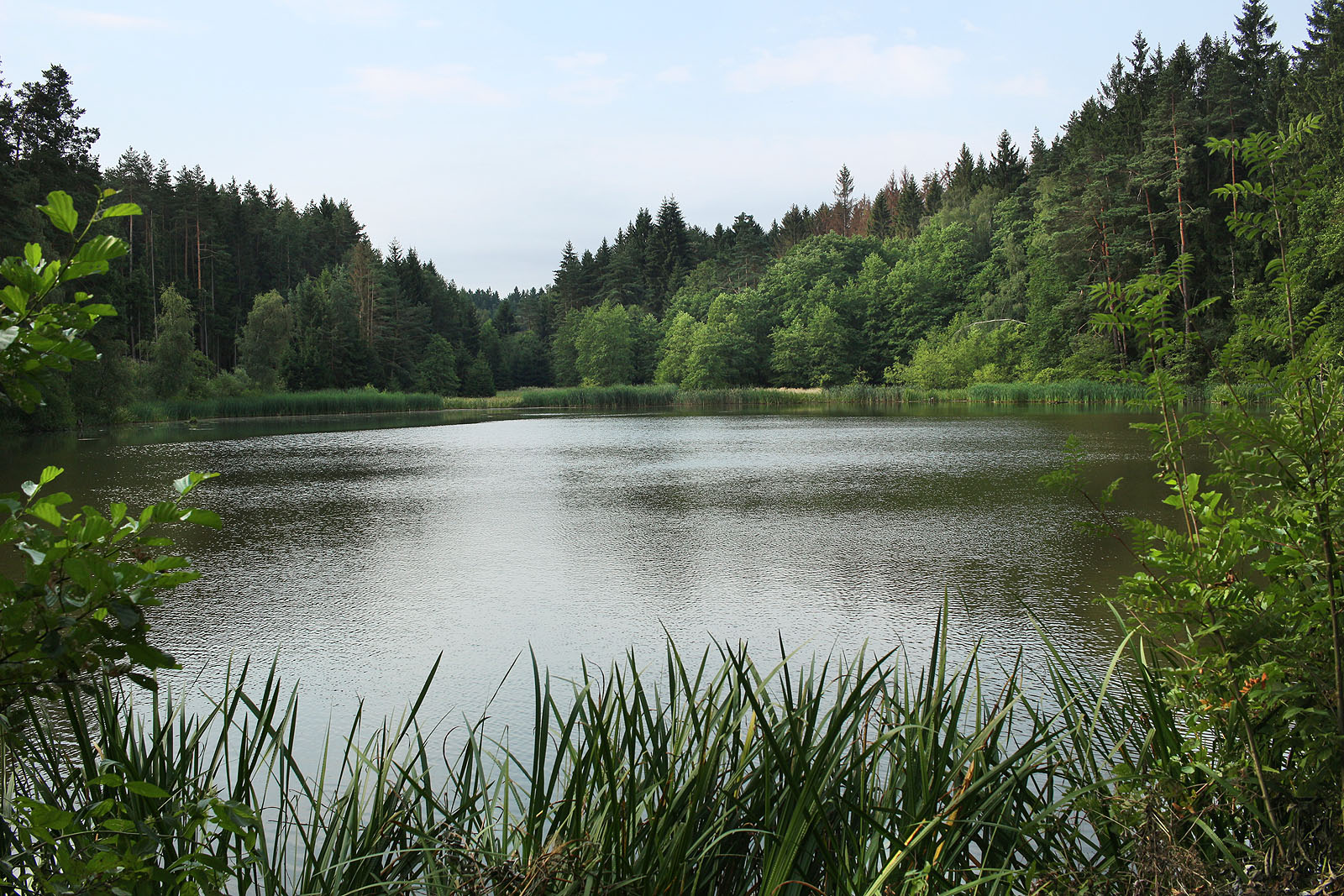 Rybník Vampolák se stal místem stovek her a soubojů. Těžko, přetěžko se mu dává sbohem.