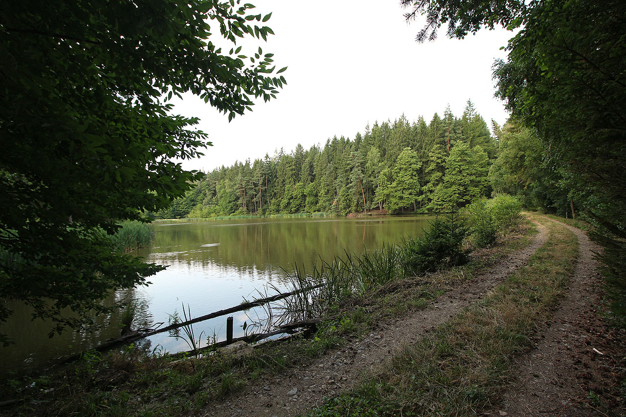Hráz Vampoláku, vzácného rybníka, zcela ukrytého v lesích.