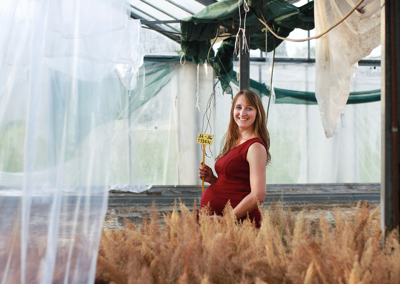 Moje první těhotenská fotka. 34.–36. týden.