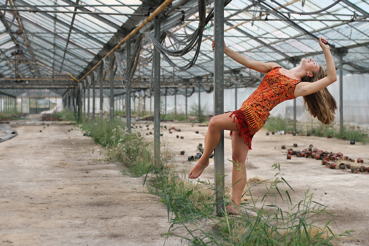 Ještě večerní poledance pro pobavení.