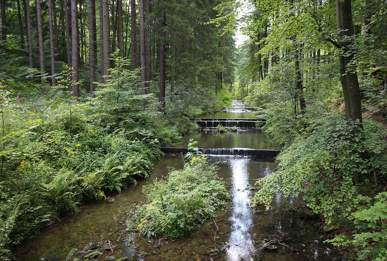 Prvním naším cílem byl umělý náhon, Zlatá stoka, který převádí vodu z řeky Olešnice (na snímku) do Černého potoka ve Zlatých Horách.