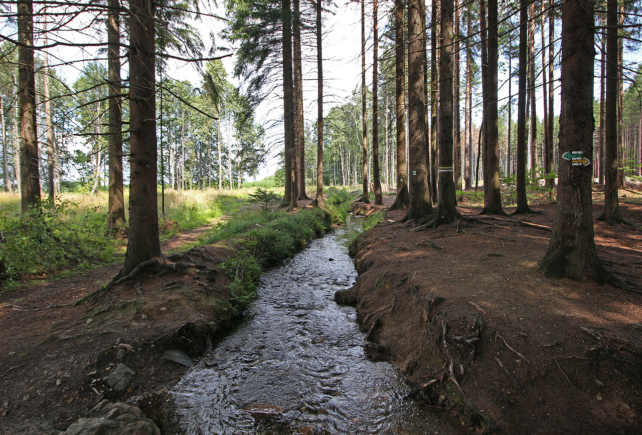 Náhon převádí vodu přes rozvodí a místy se tu zdá, že voda teče proti směru do kopce.