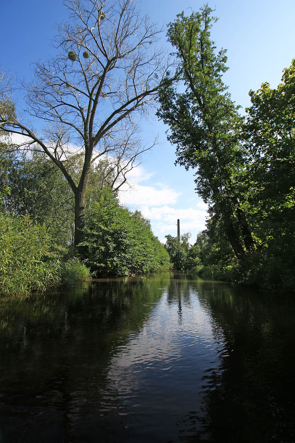 Pod nepříliš hlubokou vrstvou černé vody se nachází vrstva bahna hluboká tolik, že jsme pádlem nedosáhli na dno. Unikaly z něj tisíce bublinek.