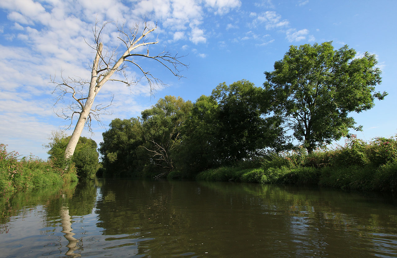 Rychlost proudu tady ale přecejenom klesá až k určité olejnatosti.