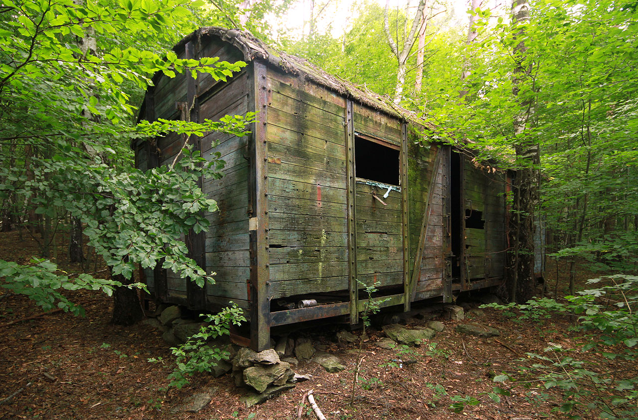 Ještě před pár lety by byl vagón ideálním místem pro přespání v lese, s kamínky a nepromokavou střechou. Nyní je už ale jeho osud zpečetěn.