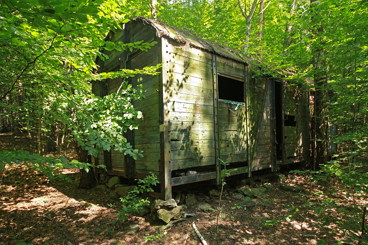 V sobotu jsme se rozhodli dojít ke Štefanské Hutě, což je stará měděná huť v Kluknavě. Abychom nešli údolím po silnici, vzali jsme to přes kopec Roháčka (1028 m) a po cestě objevili opuštěný železniční vagón.