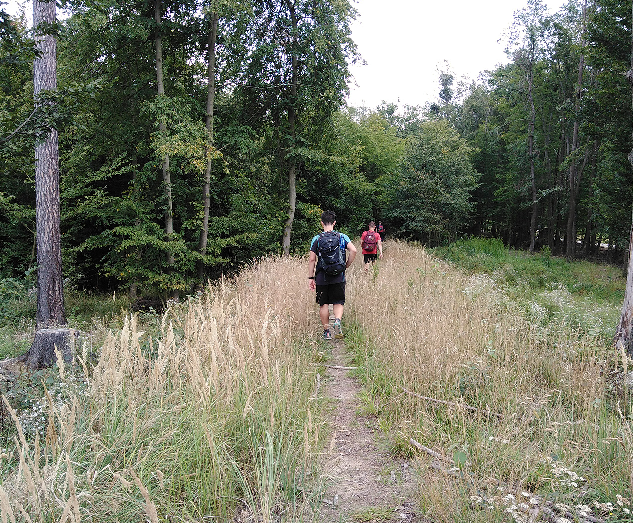 Do <a href="/Tema/Radostice">Radostic</a> scházíme po nápadně kvalitním lesním chodníčku. To, co jsem považoval za pozůstatky úzkokolejky, se ukázalo být historickou silnicí z dob před staletími.