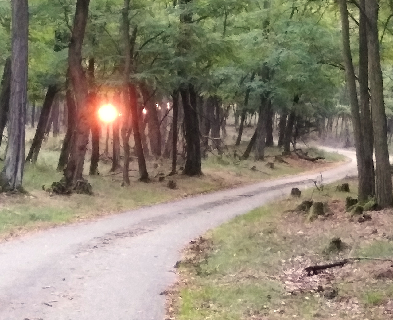 Obora, slunce. To nejhorší máme za sebou,a el stále nám zbývá okolo 50 km cesty.