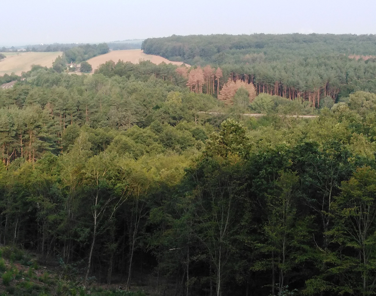Proplétáme se oborní džunglí a posléze scházíme vlhkou travou zpět k Akátové dráze.