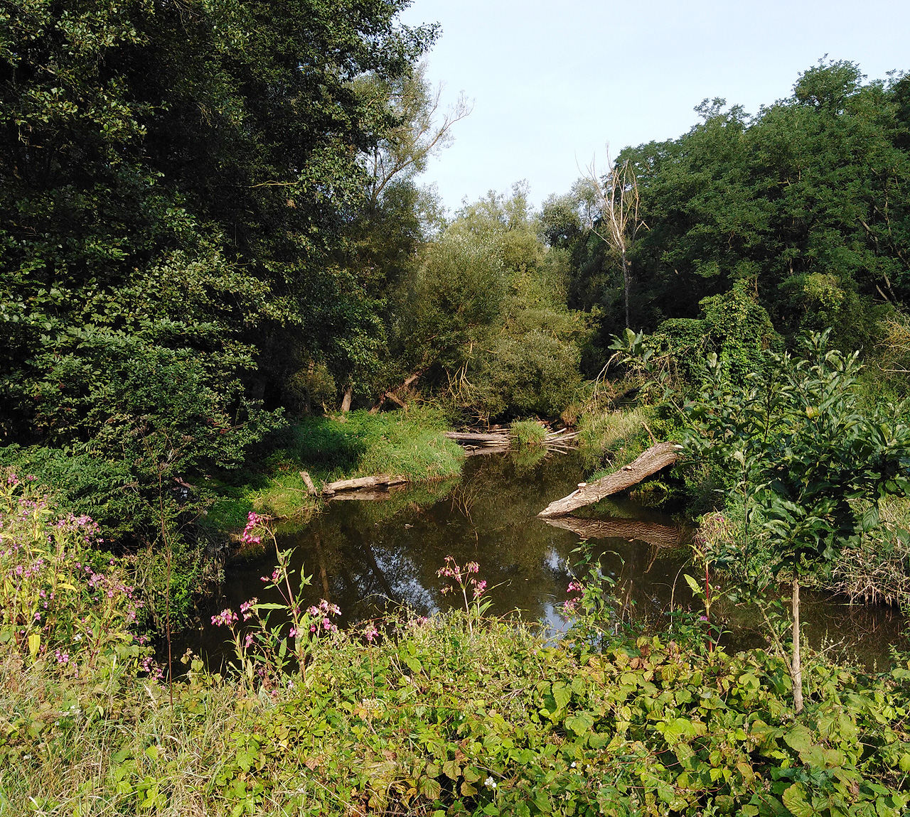 Lužní scenérie pod Kumánem. Tady se raději koupat nebudeme.