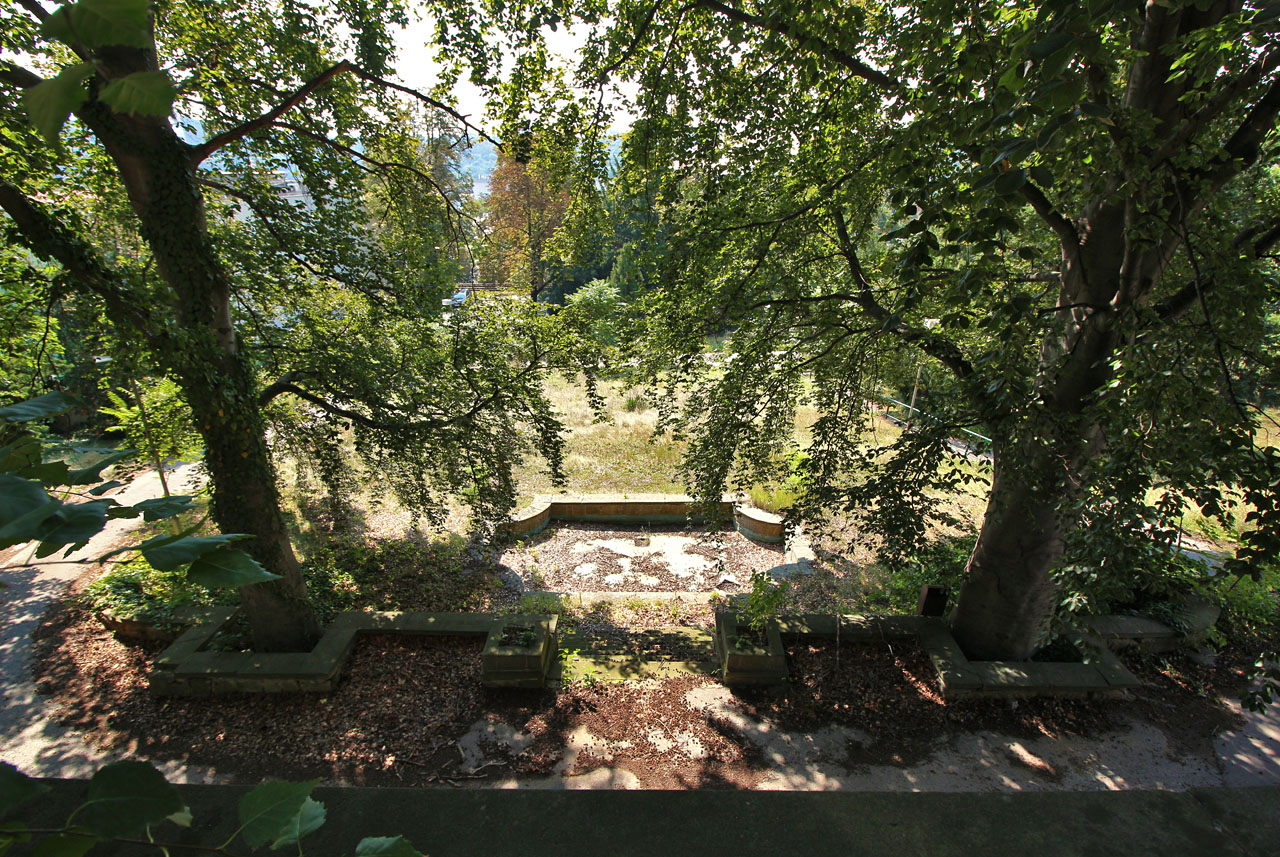 Výhled pana domácího. V době, kdy vilu dostavěl, byly buky po stranách schodiště zřejmě malými semenáčky.