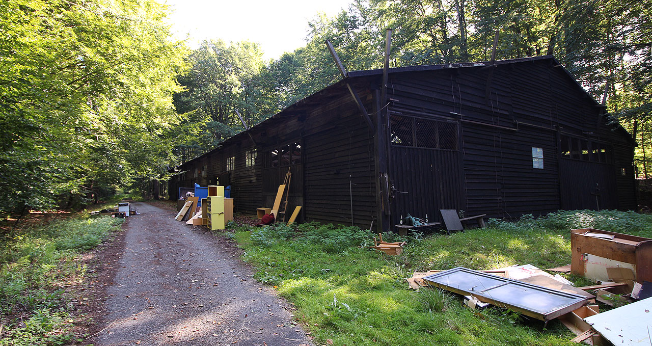 Devadesátdevítka je aktuálně největší přeživší stavbou na Muně. Brontosauři nemají sílu o budovu sami pečovat, proto se dohodli s ostatními neziskovkami na Muně na společném užívání stavby.