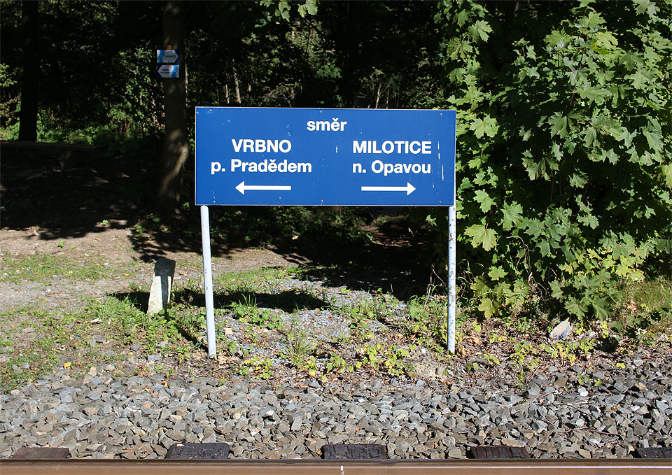 Pokračuji po trati.