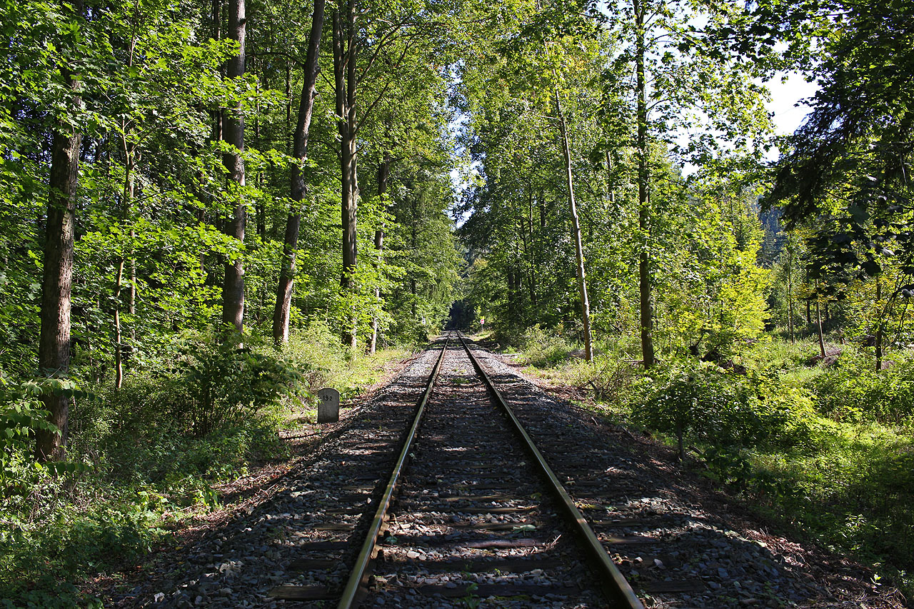 Melancholie podzimu na mě doléhá stále silněji. A bude to ze dne na den horší. Tady ještě netuším, že letos prožiju nejtěžší podzim v životě.
